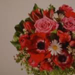 Schnittblumen. Ob ein Geschenk von Herzen kommt oder nicht, zeigt sich nirgendwo so deutlich, wie bei Blumen, die man überreicht. Da wird mit jeder Blumenzusammenstellung sichtbar, wieviele liebe Überlegungen darinstecken. Ist doch ein Blumengeschenk nahezu die persönlichste Visitenkarte, die man hinterlassen kann.