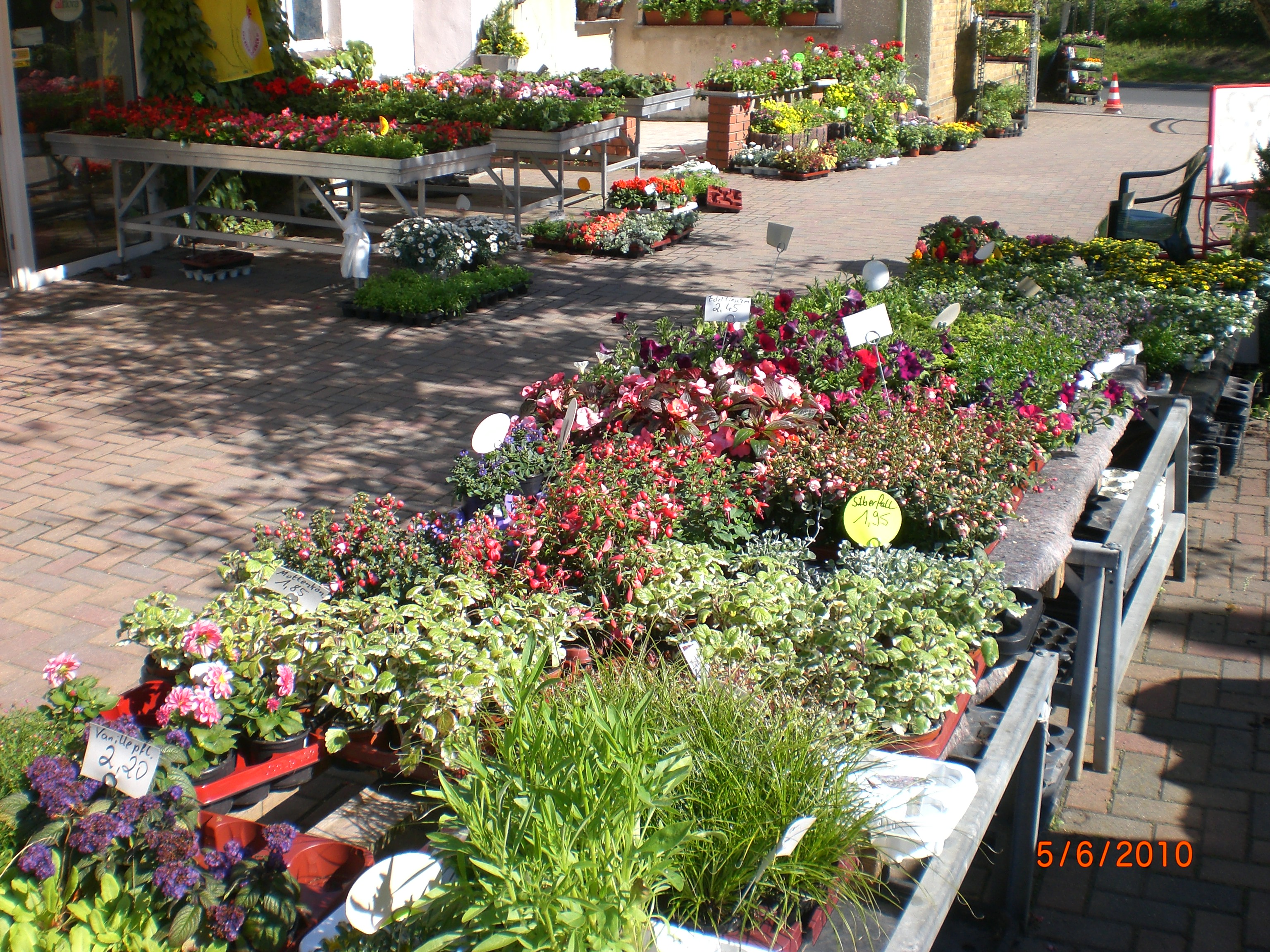 Freifläche Sommerblumen