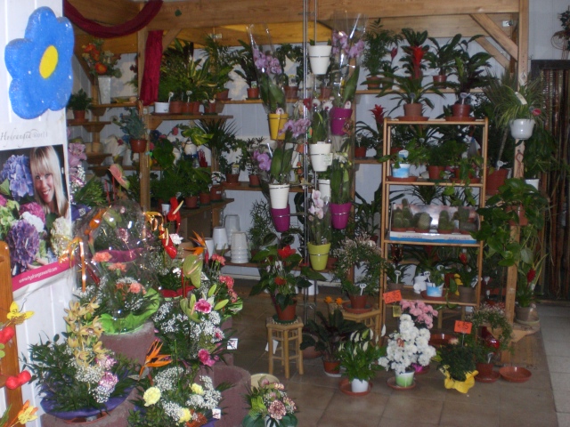 Blumengeschäft